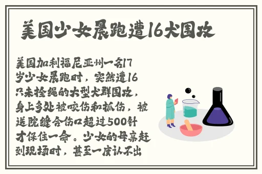 adc影视年龄确认实名认证欢迎大驾光临在线看