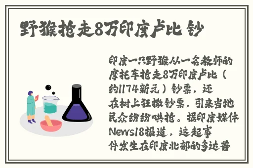 莉哥15分钟视频