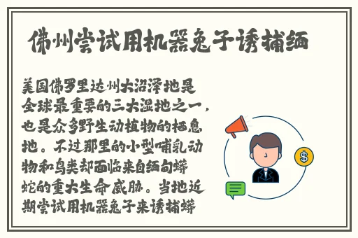911国精产品新